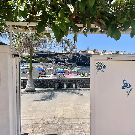 Neptuno Gure Ametsa By Sydney * 푸에르토 데 산티아고